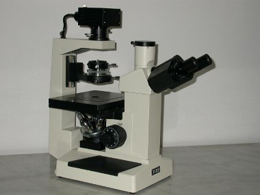 37XB���������@΢�R