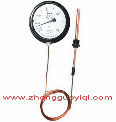 WTZ-280����ʽ�ض�Ӌ